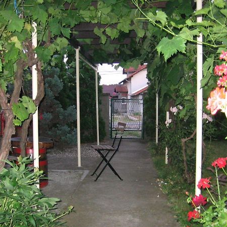 Kuca Za Odmor Jelena Διαμέρισμα Κλάντοβο Εξωτερικό φωτογραφία